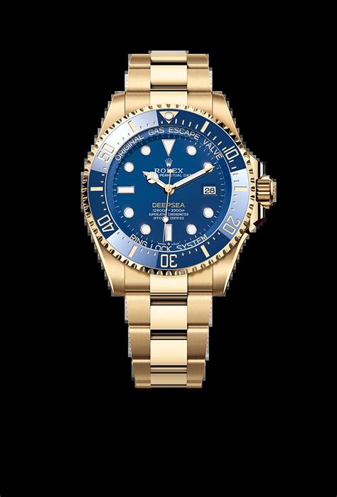 rolex boutique global watch company|rolex watch company usa.